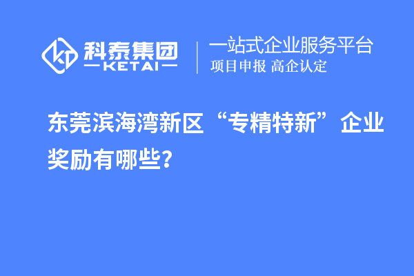 东莞滨海湾新区“专精特新”企业奖励有哪些？