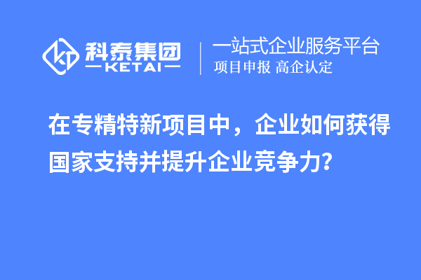 在专精特新项目中，企业如何获得国家支持并提升企业竞争力？