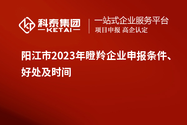 阳江市2023年瞪羚企业申报条件、好处及时间
