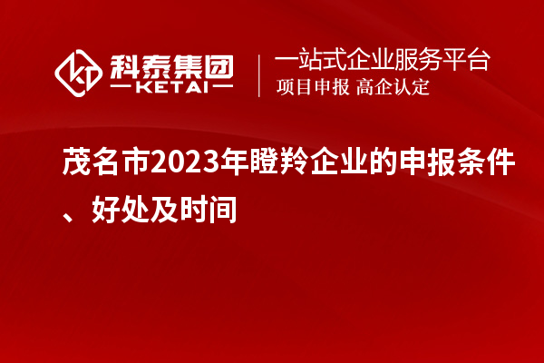茂名市2023年瞪羚企业的申报条件、好处及时间
