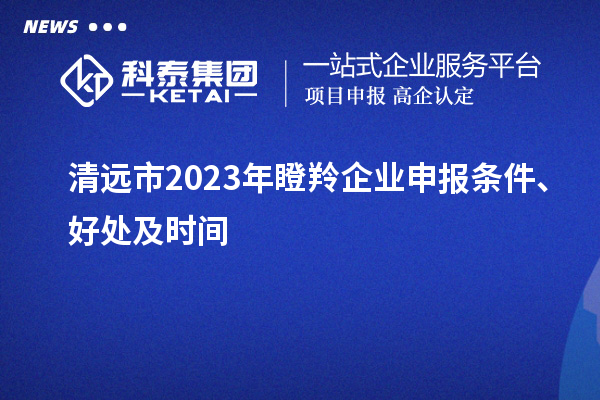 清远市2023年瞪羚企业申报条件、好处及时间
