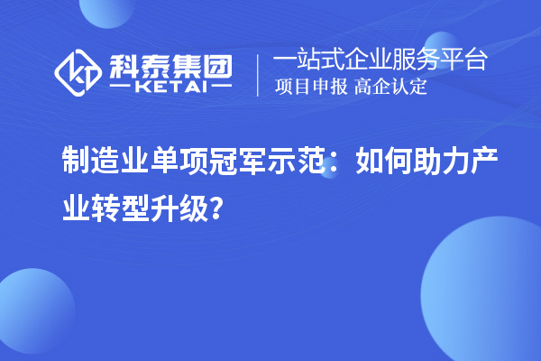制造业单项冠军示范：如何助力产业转型升级？