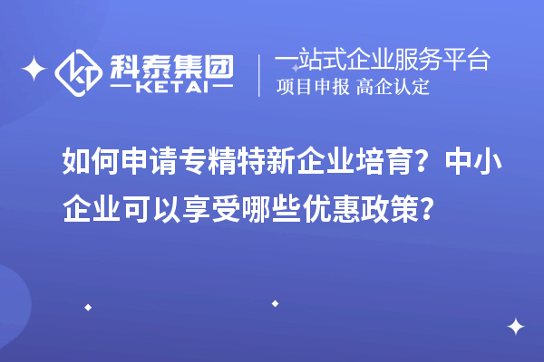 如何申请专精特新企业培育？中小企业可以享受哪些优惠政策？