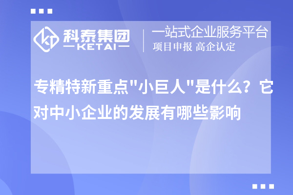 专精特新重点小巨人是什么？它对中小企业的发展有哪些影响