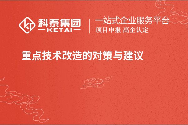  重点技术改造的对策与建议