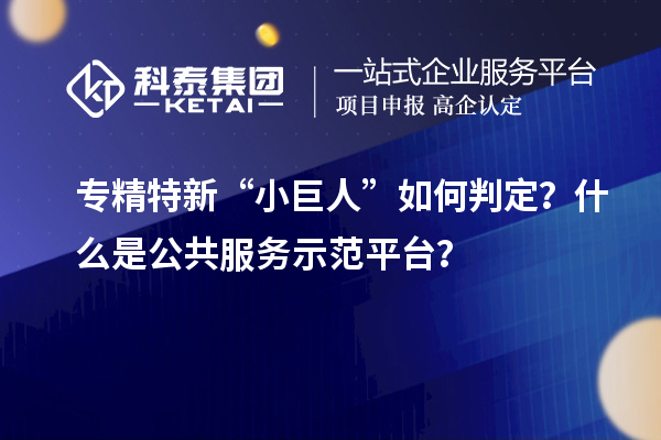 专精特新“小巨人”如何判定？什么是公共服务示范平台？