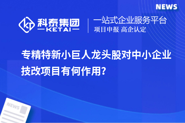 专精特新小巨人龙头股对中小企业技改项目有何作用？
