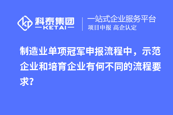 制造业单项冠军申报流程中，示范企业和培育企业有何不同的流程要求？