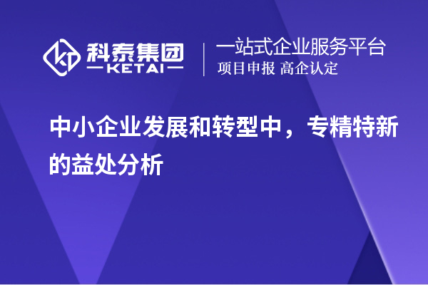 中小企业发展和转型中，专精特新的益处分析		 		