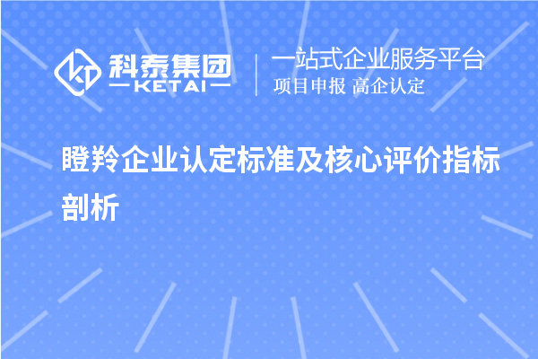 瞪羚企业认定标准及核心评价指标剖析		 		