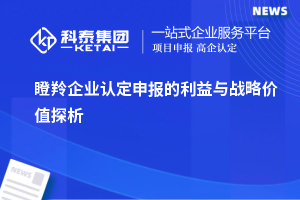 瞪羚企业认定申报的利益与战略价值探析		 		
