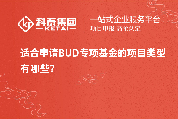 适合申请BUD专项基金的项目类型有哪些？