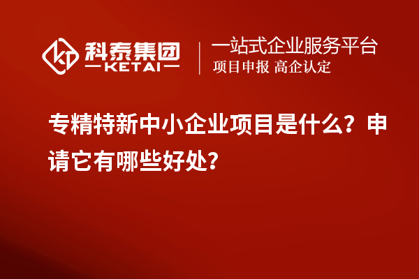 专精特新中小企业项目是什么？申请它有哪些好处？