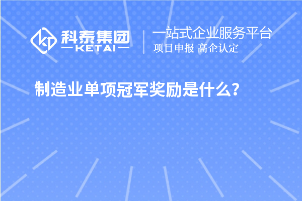 制造业单项冠军奖励是什么？