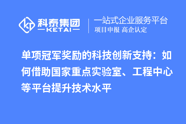 单项冠军奖励的科技创新支持：如何借助国家重点实验室、工程中心等平台提升技术水平