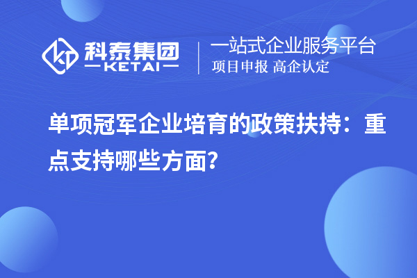 单项冠军企业培育的政策扶持：重点支持哪些方面？