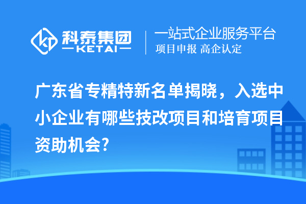 广东省专精特新名单揭晓，入选中小企业有哪些技改项目和培育项目资助机会?