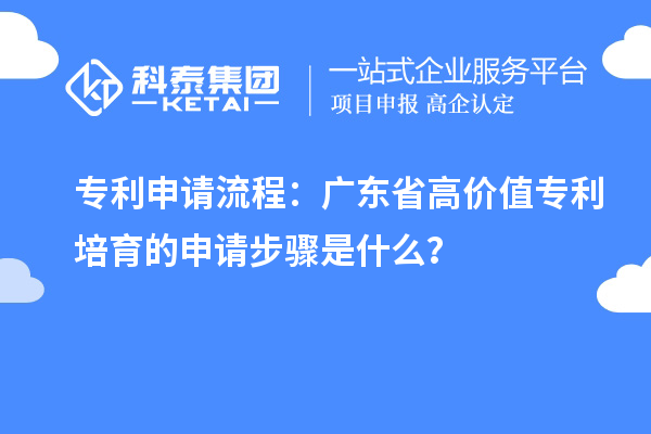 专利申请流程：广东省高价值专利培育的申请步骤是什么？