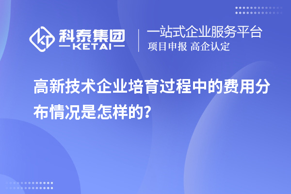 高新技术企业培育过程中的费用分布情况是怎样的？