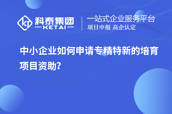 中小企业如何申请专精特新的培育项目资助？