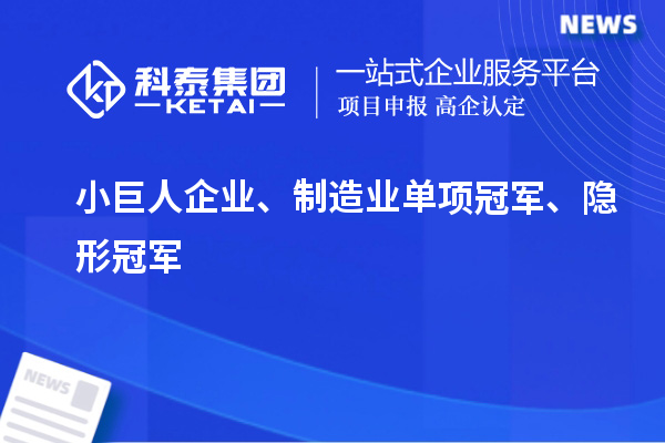 小巨人企业、制造业单项冠军、隐形冠军