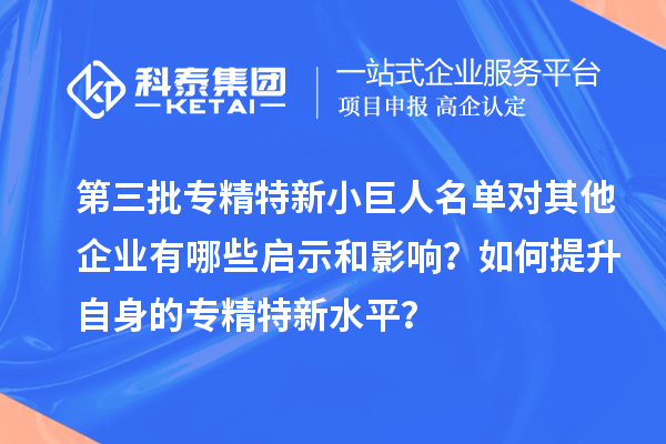 第三批专精特新小巨人名单对其他企业有哪些启示和影响？如何提升自身的专精特新水平？