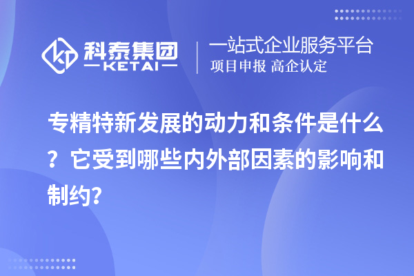 专精特新发展的动力和条件是什么？它受到哪些内外部因素的影响和制约？