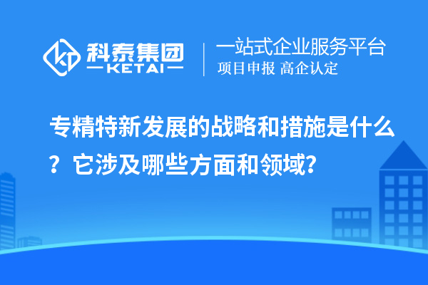专精特新发展的战略和措施是什么？它涉及哪些方面和领域？