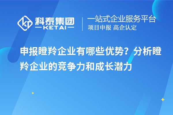 申报瞪羚企业有哪些优势?分析瞪羚企业的竞争力和成长潜力