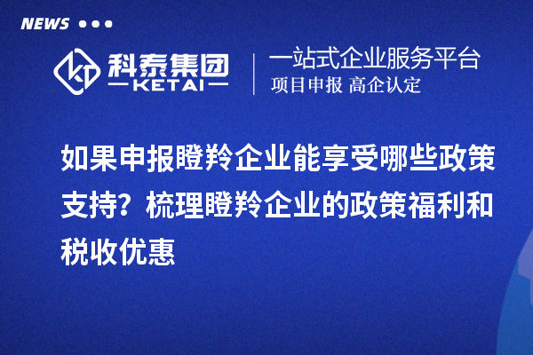 如果申报瞪羚企业能享受哪些政策支持？梳理瞪羚企业的政策福利和税收优惠