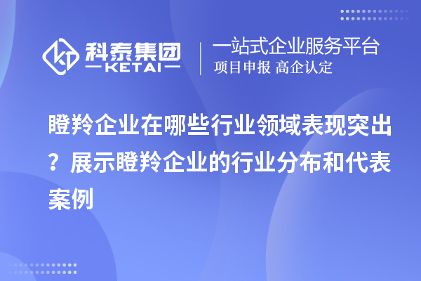 瞪羚企业在哪些行业领域表现突出？展示瞪羚企业的行业分布和代表案例