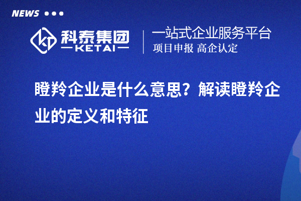 瞪羚企业是什么意思?解读瞪羚企业的定义和特征
