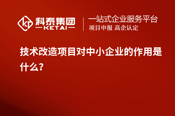 技术改造项目对中小企业的作用是什么？