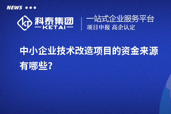 中小企业技术改造项目的资金来源有哪些？