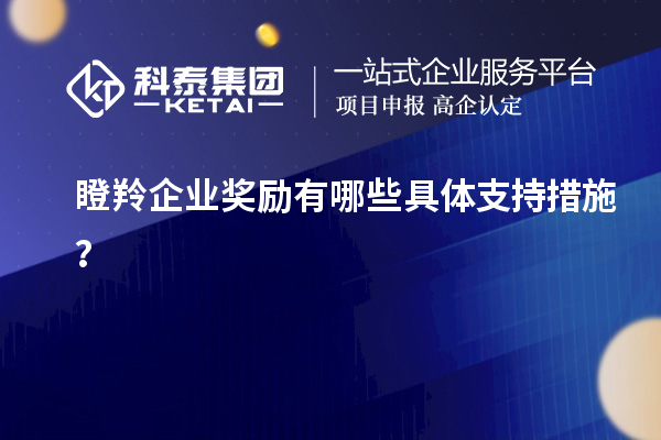 瞪羚企业奖励有哪些具体支持措施？
