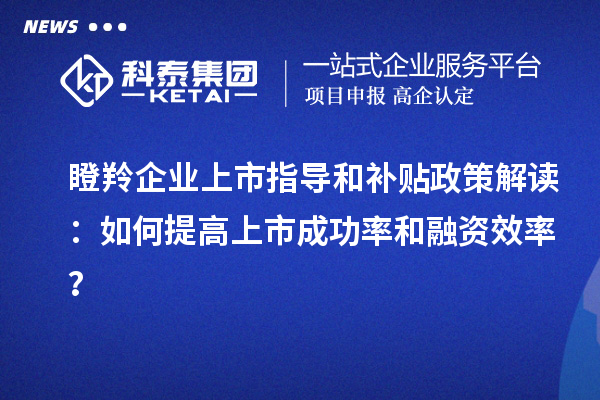 瞪羚企业上市指导和补贴政策解读：如何提高上市成功率和融资效率？