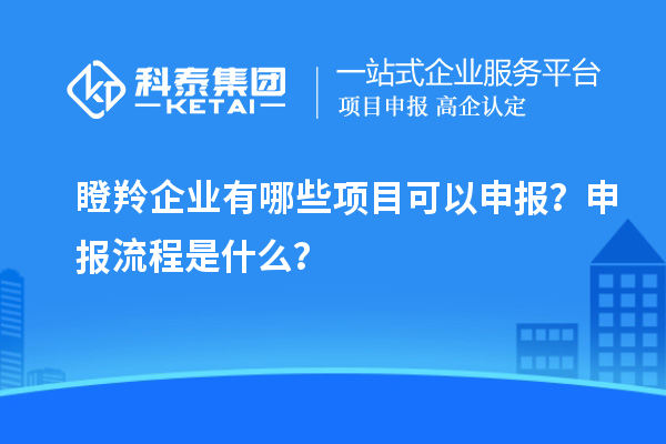 瞪羚企业有哪些项目可以申报？申报流程是什么？