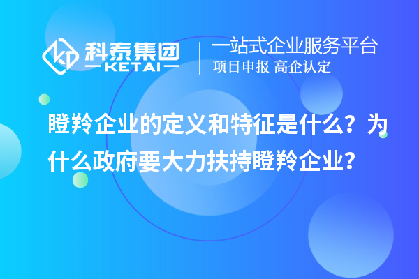 瞪羚企业的定义和特征是什么？为什么政府要大力扶持瞪羚企业？