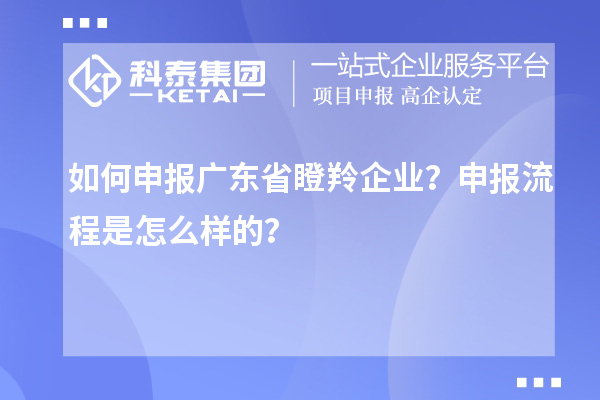 如何申报广东省瞪羚企业？申报流程是怎么样的？