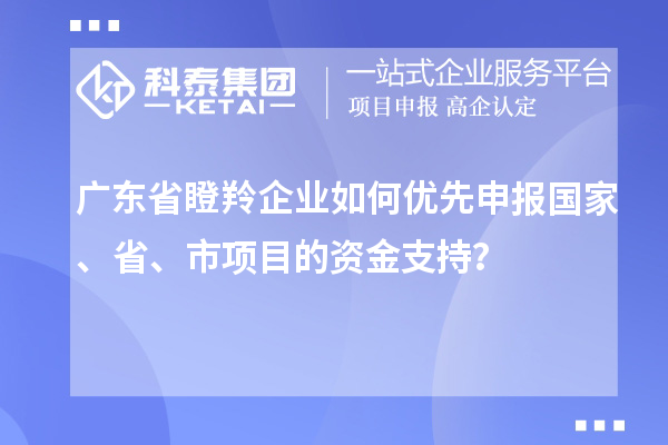 广东省瞪羚企业如何优先申报国家、省、市项目的资金支持？