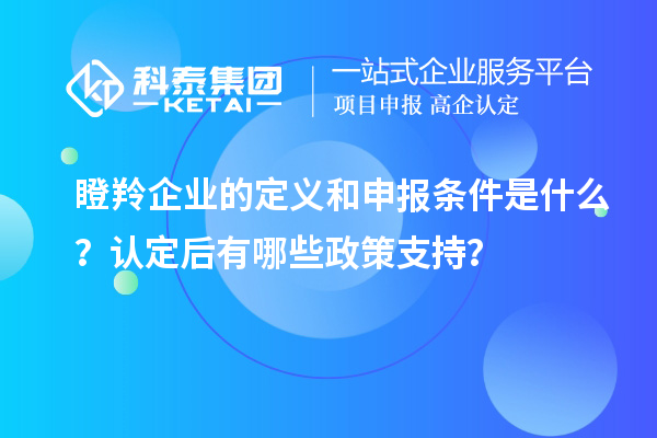 瞪羚企业的定义和申报条件是什么？认定后有哪些政策支持？