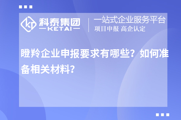瞪羚企业申报要求有哪些？如何准备相关材料？