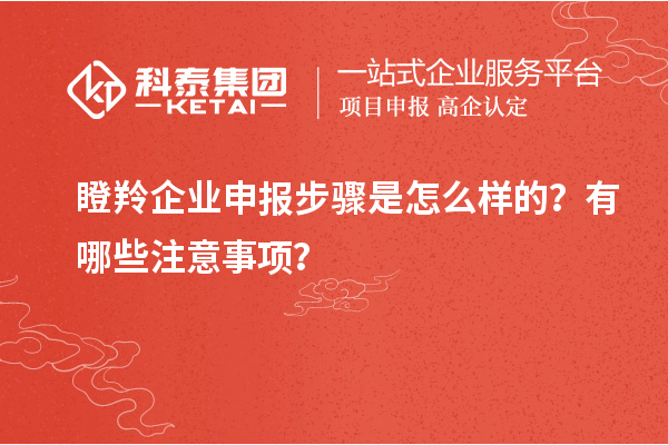 瞪羚企业申报步骤是怎么样的？有哪些注意事项？