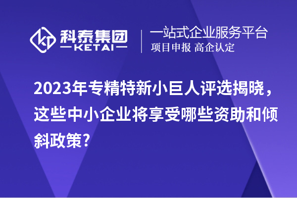 2023年专精特新小巨人评选揭晓，这些中小企业将享受哪些资助和倾斜政策?