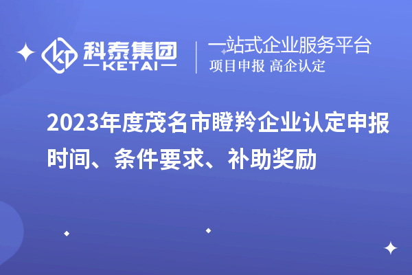 2023年度茂名市瞪羚企业认定申报时间、条件要求、补助奖励