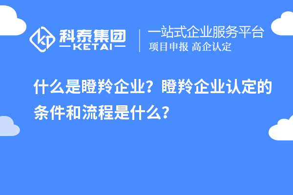 什么是瞪羚企业？瞪羚企业认定的条件和流程是什么？
