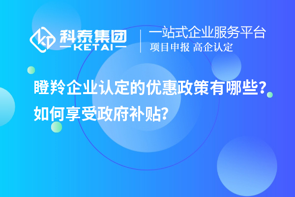 瞪羚企业认定的优惠政策有哪些？如何享受政府补贴？
