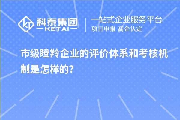 市级瞪羚企业的评价体系和考核机制是怎样的？