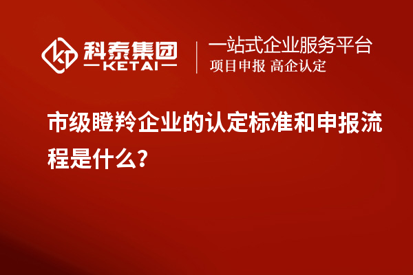 市级瞪羚企业的认定标准和申报流程是什么？