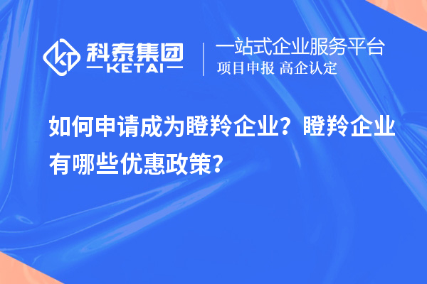如何申请成为瞪羚企业？瞪羚企业有哪些优惠政策？